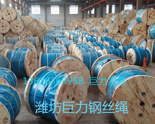 ������˿������