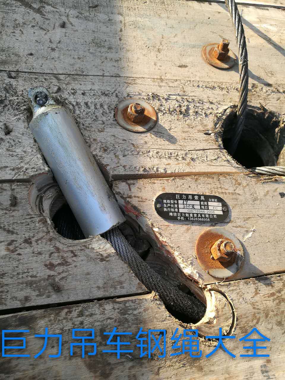 ������˿��