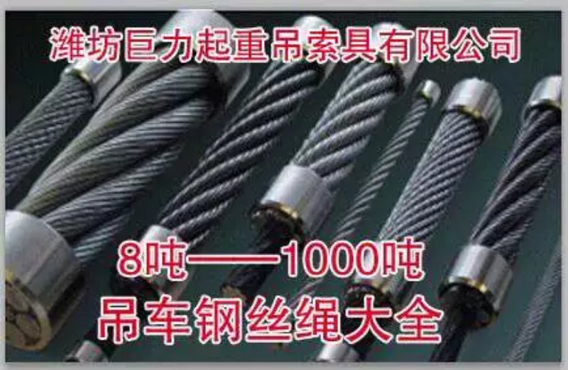 ������˿��